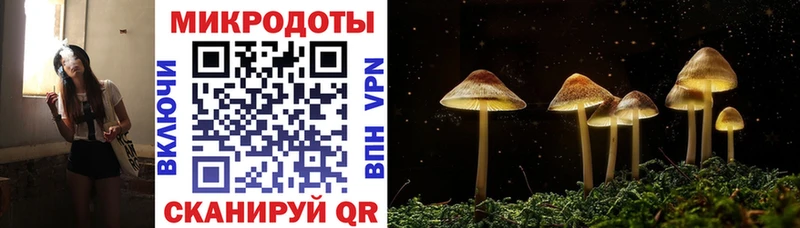 мега ССЫЛКА Киреевск Галлюциногенные грибы Magic Shrooms